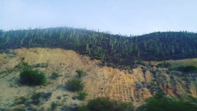CLIFF ON THE LEFT,
Drop on the right,
Sun in the West,
Forest of cacti;
Heading down.
#cliff #cactus #sunontherightside #goingdown #headingsouth #oaxaca