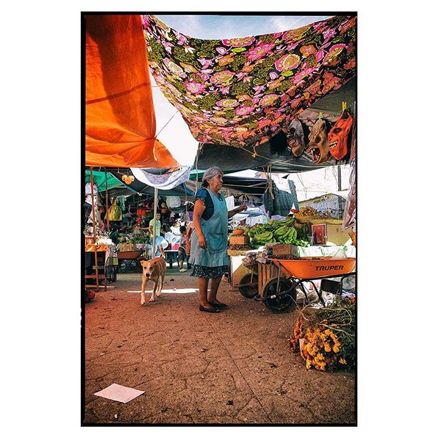Market at zaachila.
The colours, textues, scents and liveliness of this market is beautiful. 
#zaachila #oaxaca #mexico #market #livingcolour #texture #lively #spiro #spiro_photographer #spirophotographer
