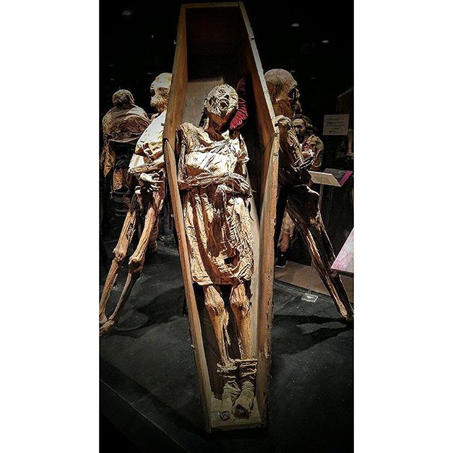 Mummies of Guanajuato
Shot with phone
#mexico #guanajuato #museum #mummy #rip #gruesome #disturbed #eerie