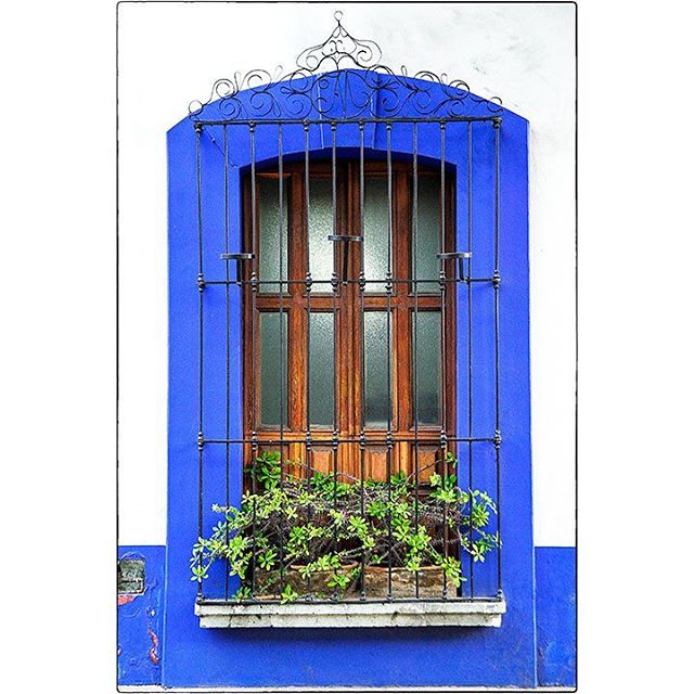 OAXACA CITY, MEXICO
Window
#oaxaca #mexico #oaxacamexico #colour #window #bent #offcentre #blueonwhite #texture #composition #city #architecture #graphic #design #shape #spiro #spiro_photographer #spirophotographer