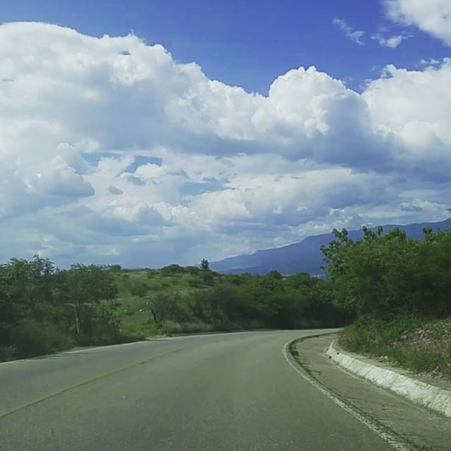Road to Oaxaca from Monte Alban. A bit bumpy but I love how the layout of the city is revealed between the gaps of the trees. 
#iloveoaxaca #oaxaca #mexico #oaxacamexico #roadtrip #montealban #bumpyride #returning #discover #spiro #spiro_photographer #spirophotographer